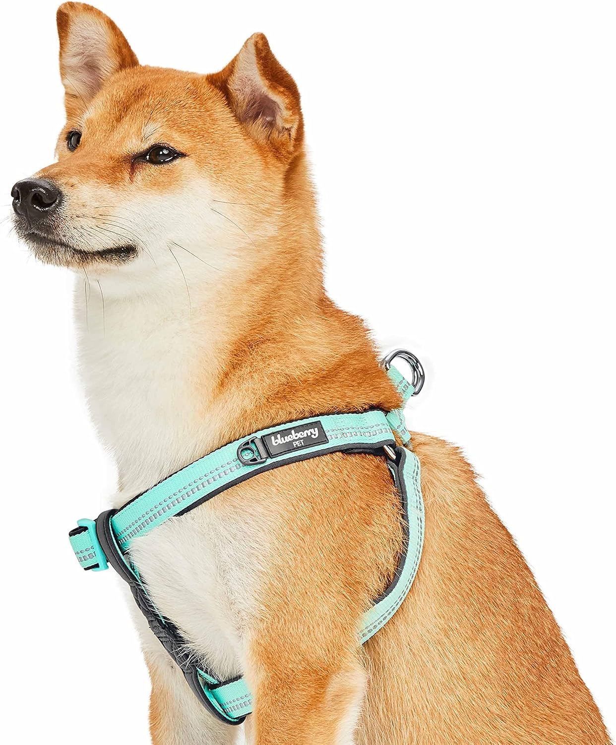 Blueberry Pet Soft & Comfy 3M Reflective Stepin Pastel Color Padded