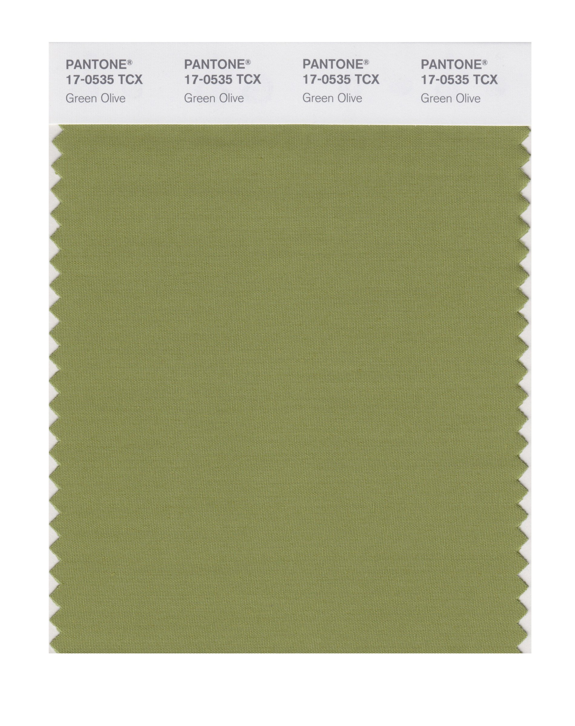 PANTONE Smart 17-0535X Color Swatch Card, Green Olive - House