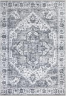 Bloom Rugs Caria Washable Non-Slip 3x5 Rug - Silver/Dark Gray Traditional Area Rug for Living Room, Bedroom, Dining Room, and Kitchen - Exact Size: 3' x 5'
