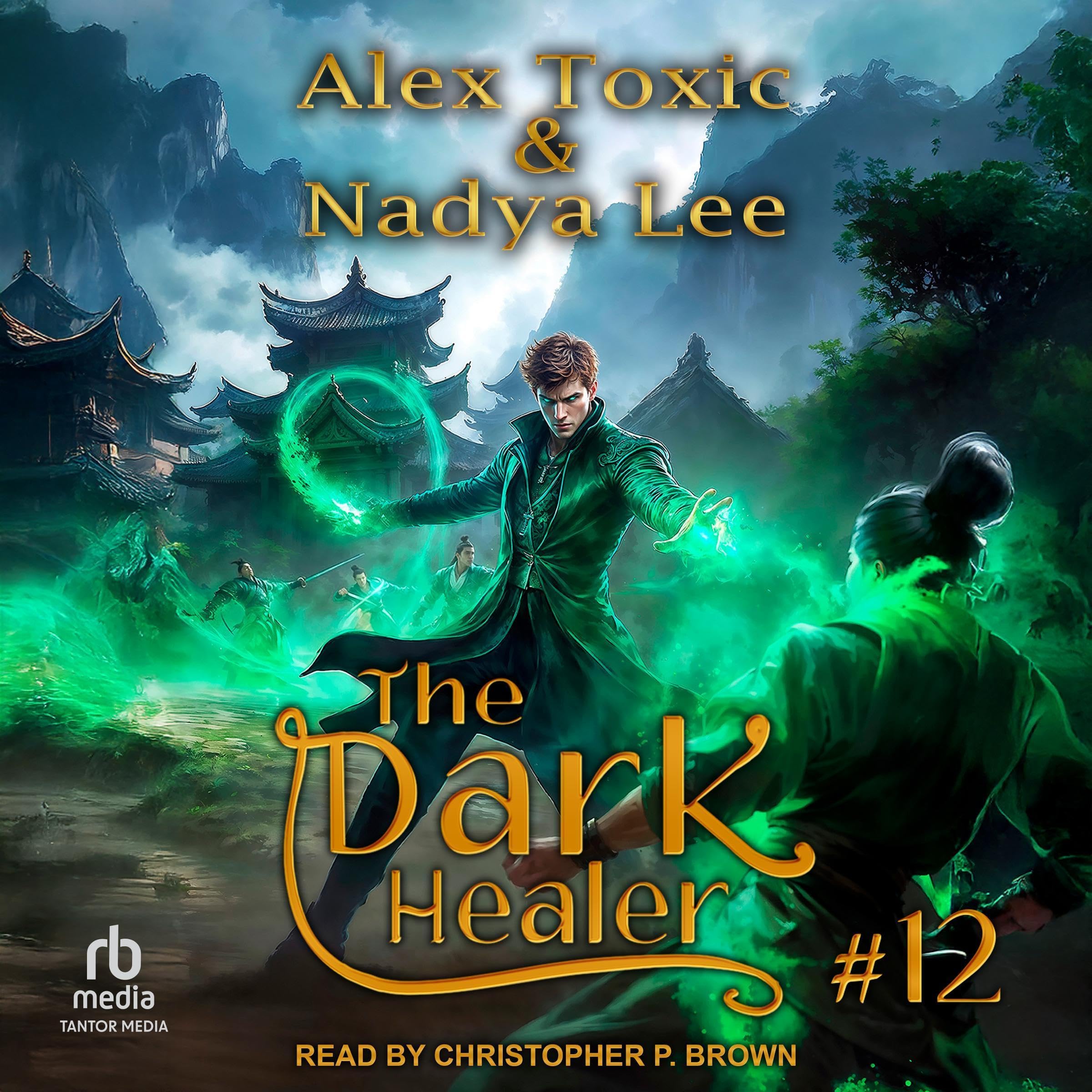 Cover art for The Dark Healer: Book 12