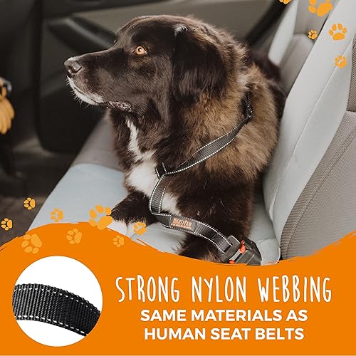 Miniatura 7 de Mighty Paw Cinturón de seguridad para automóvil para perros  El cinturón de seguridad para perros garantiza la protección de las mascotas mientras