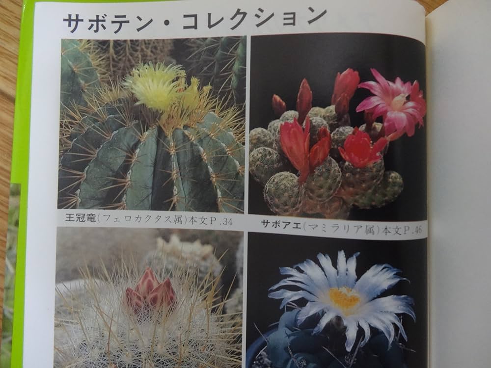 サボテンの観察と栽培 | 平尾 博 |本 | 通販 | Amazon