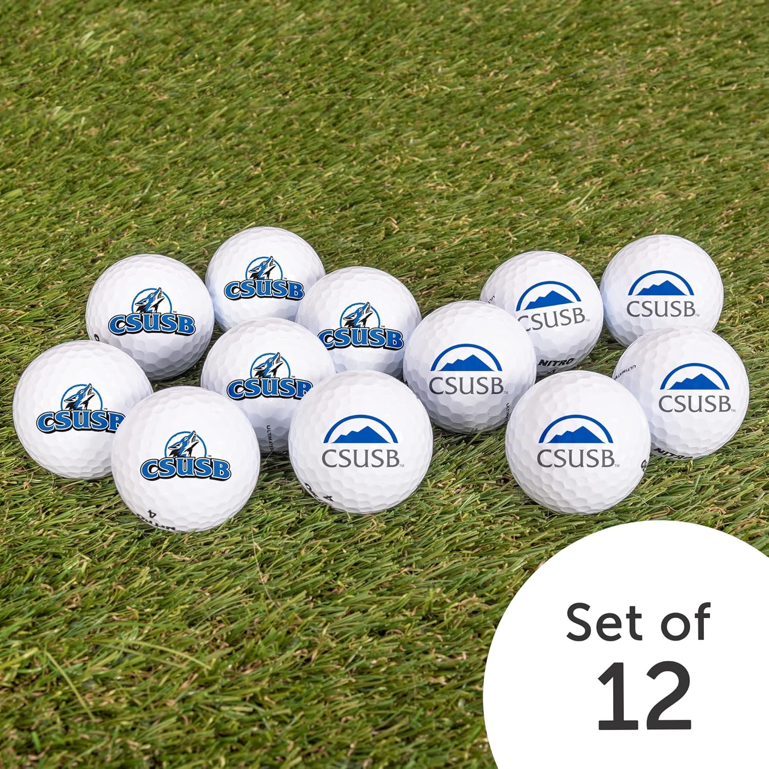 Desert Cactus California State University San Bernardino Golf Balls 12 Pack – CSUSB Coyotes Full Color Dozen – Officially Licensed Sport Team Accessory