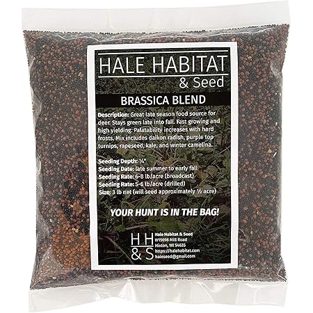 Amazon Com Domain Outdoor Big Sexy Deer Food Plot Seed 1 2 Acre High Level Of Nutrients Protein To Support Antler Growth And Health Cold Tolerant Fast Germination Easy To Plant