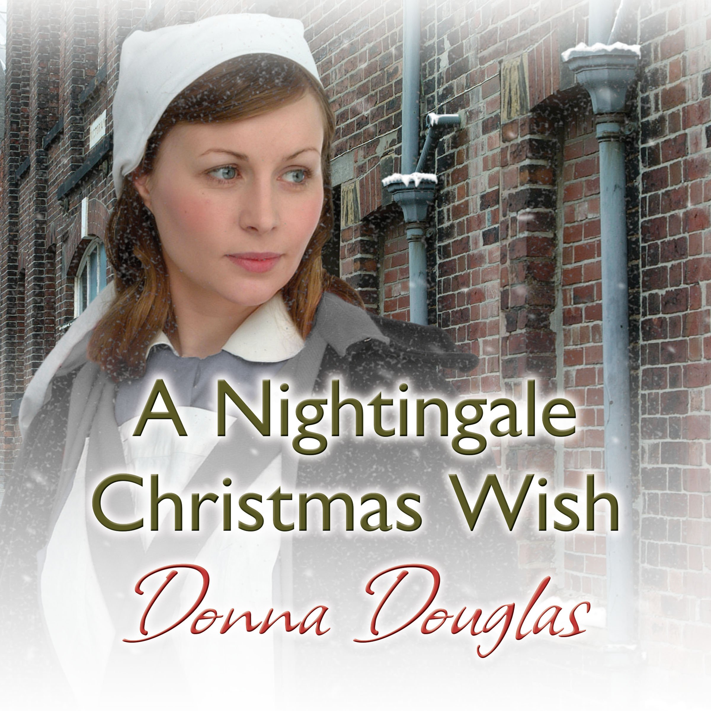 Cover art for A Nightingale Christmas Wish