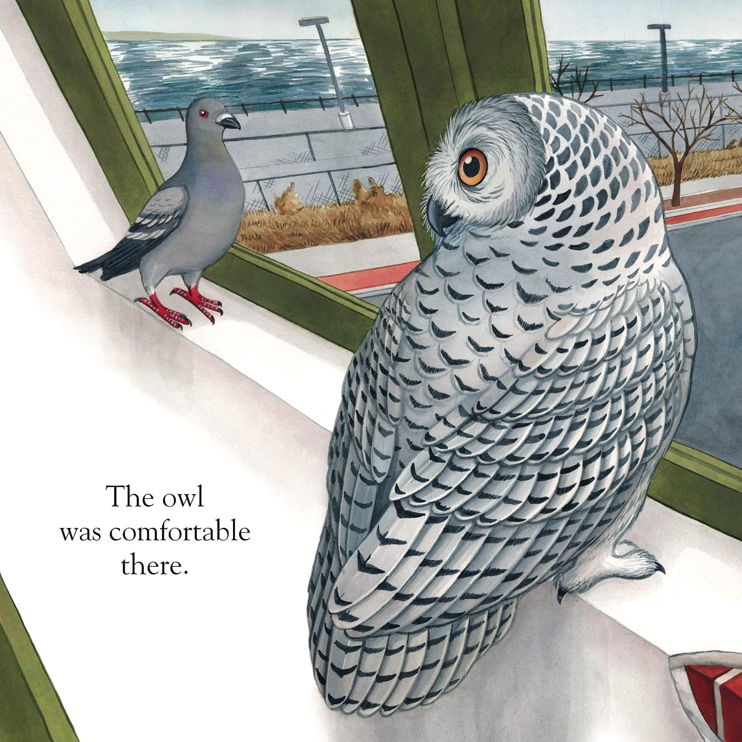 A Snowy Owl Story (Wildlife on the Move)