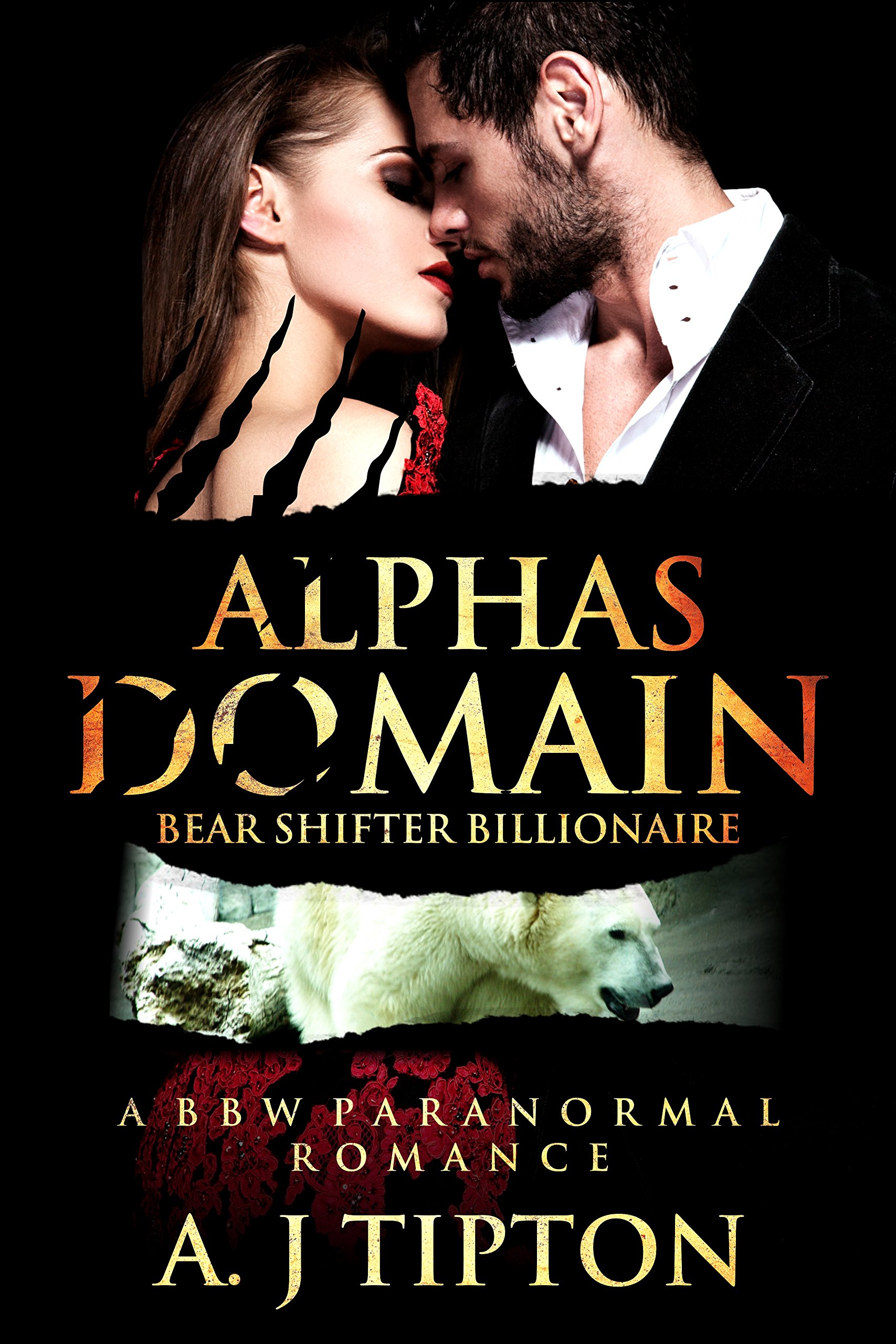 Cover of Alpha's Domain