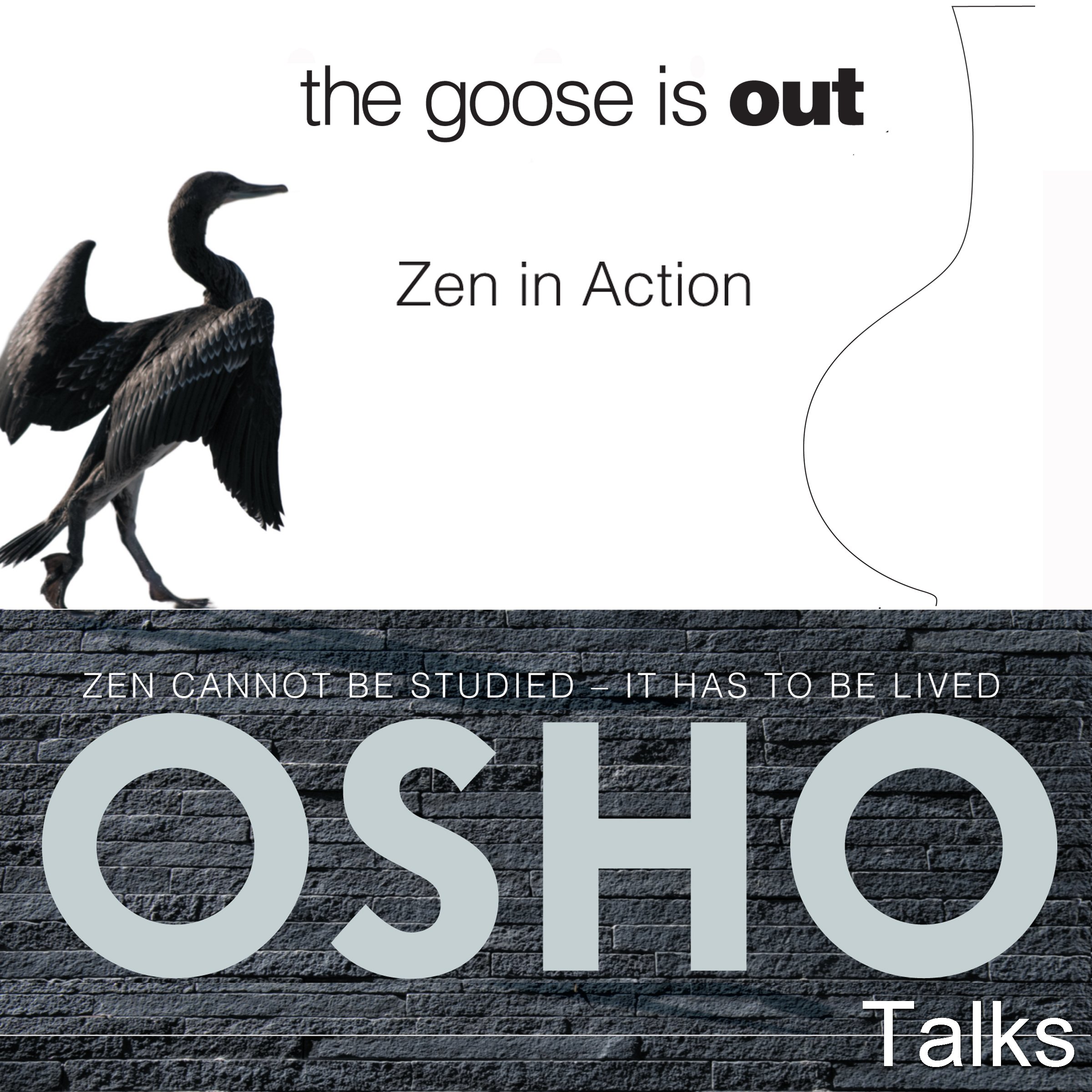Cover art for The Goose Is Out