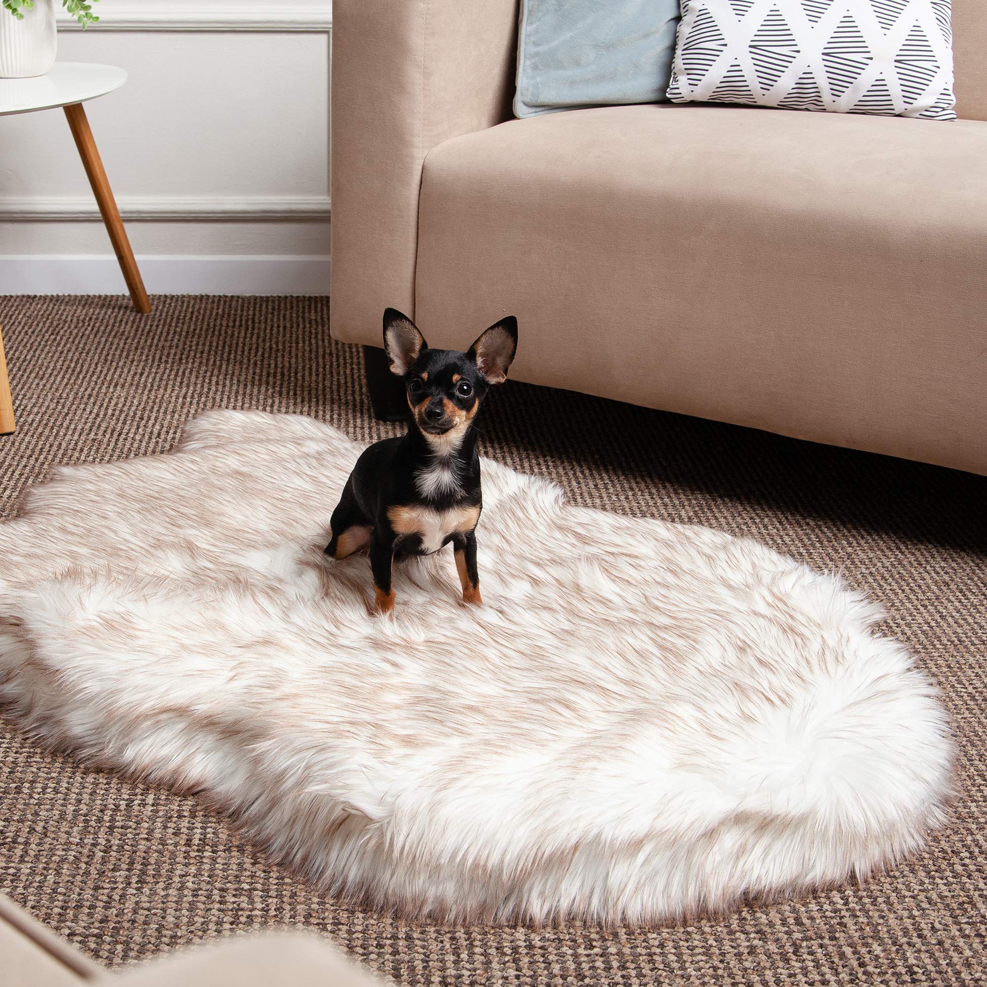 Luxury Faux Fur Orthopedic Dog Bed, Memory Foam Dog Bed​ for​ Small, Medium, Large and XL Pets, Fluffy Pup Rug with Waterproof ​and ​Washable Soft Cover, Bone White (Medium)