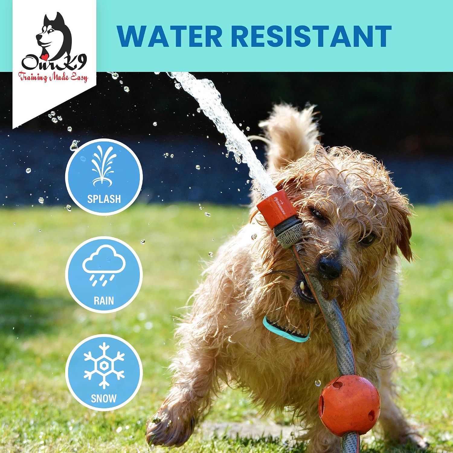 Our K9 Training Made Easy ​Ultrasonic Bark Collar ​for ​Small Dogs - ​No​ Shock, ​Pain Free ​Control Device