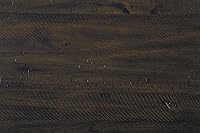 Vista 8 de Signature Design by Ashley Rokane - Juego de mesa de comedor de 7 piezas con 6 sillas tapizadas - Mesa rectangular de madera marrón de 20" y juego