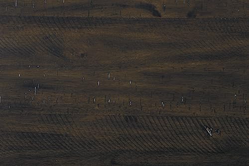 Miniatura 8 de Signature Design by Ashley Rokane - Juego de mesa de comedor de 7 piezas con 6 sillas tapizadas - Mesa rectangular de madera marrón de 20" y juego