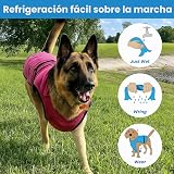 Ver la foto 3