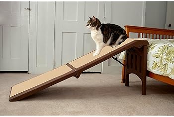 cat bed ramp