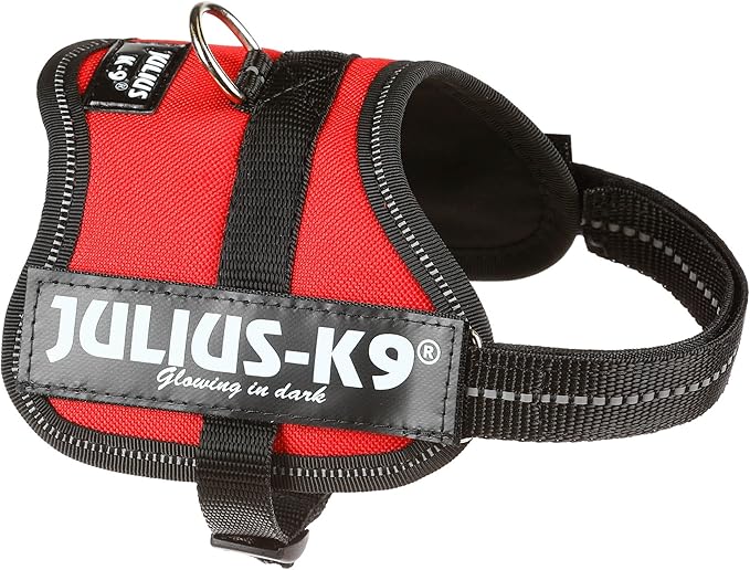 julius k9 labels amazon