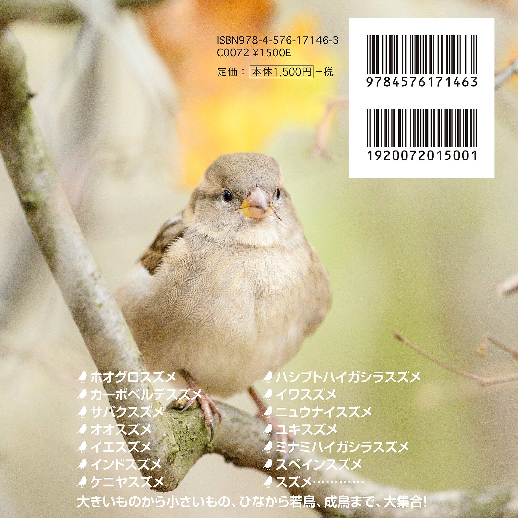 かわいいスズメたち 小宮 輝之 本 通販 Amazon