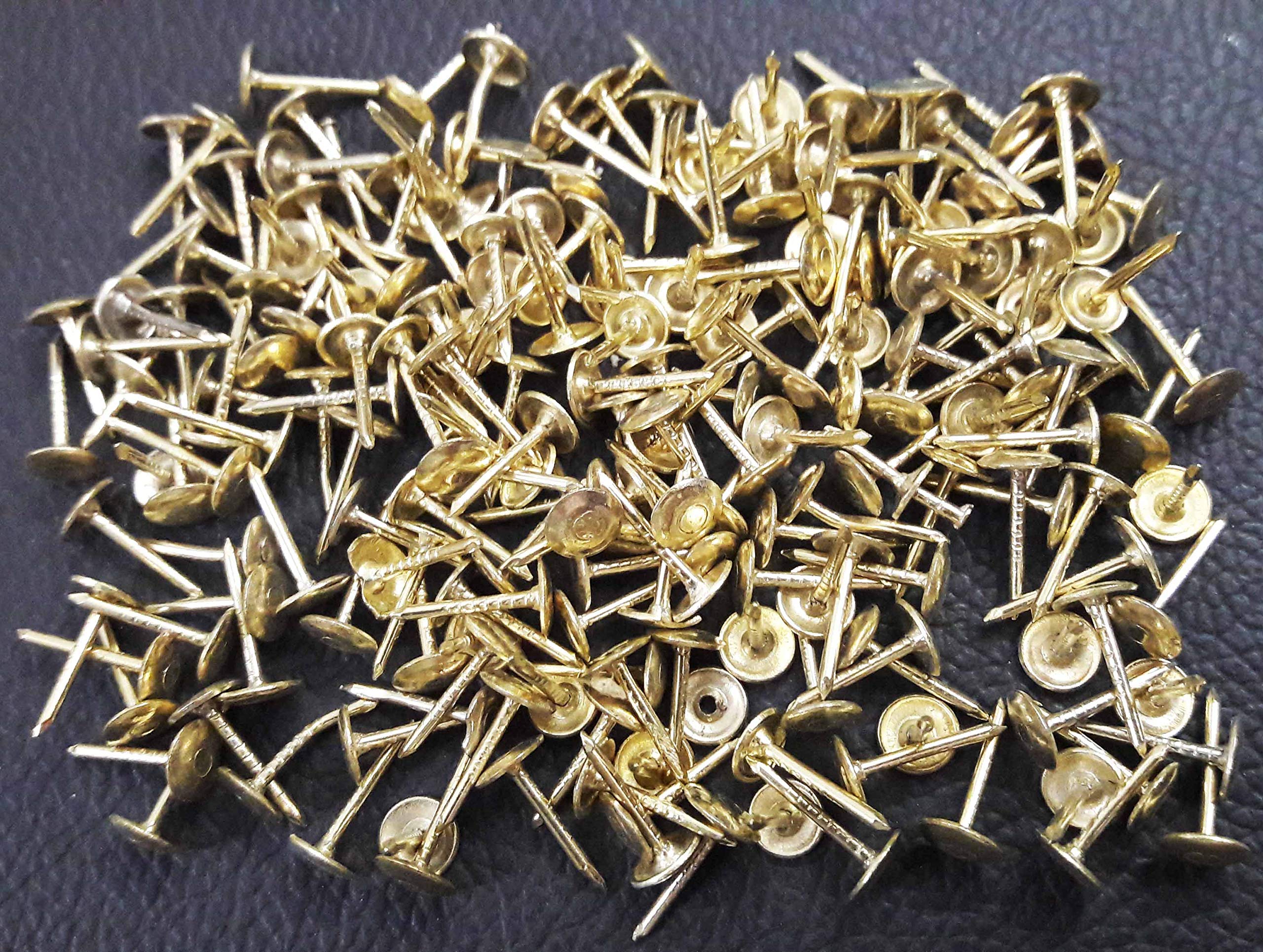 Tia Golden Pully Nails/Screws, Push Nails, Sofa Nails 1mm Dia & Length 14mm Approx-240 Pcs-image-30
