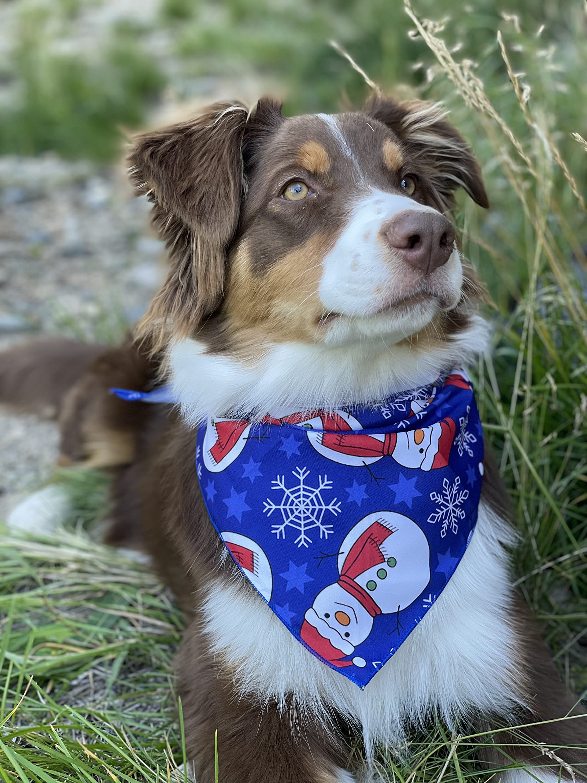 Bandana de Navidad para perro, paquete de 3, pañuelo de invierno (paquete de 2, grande)