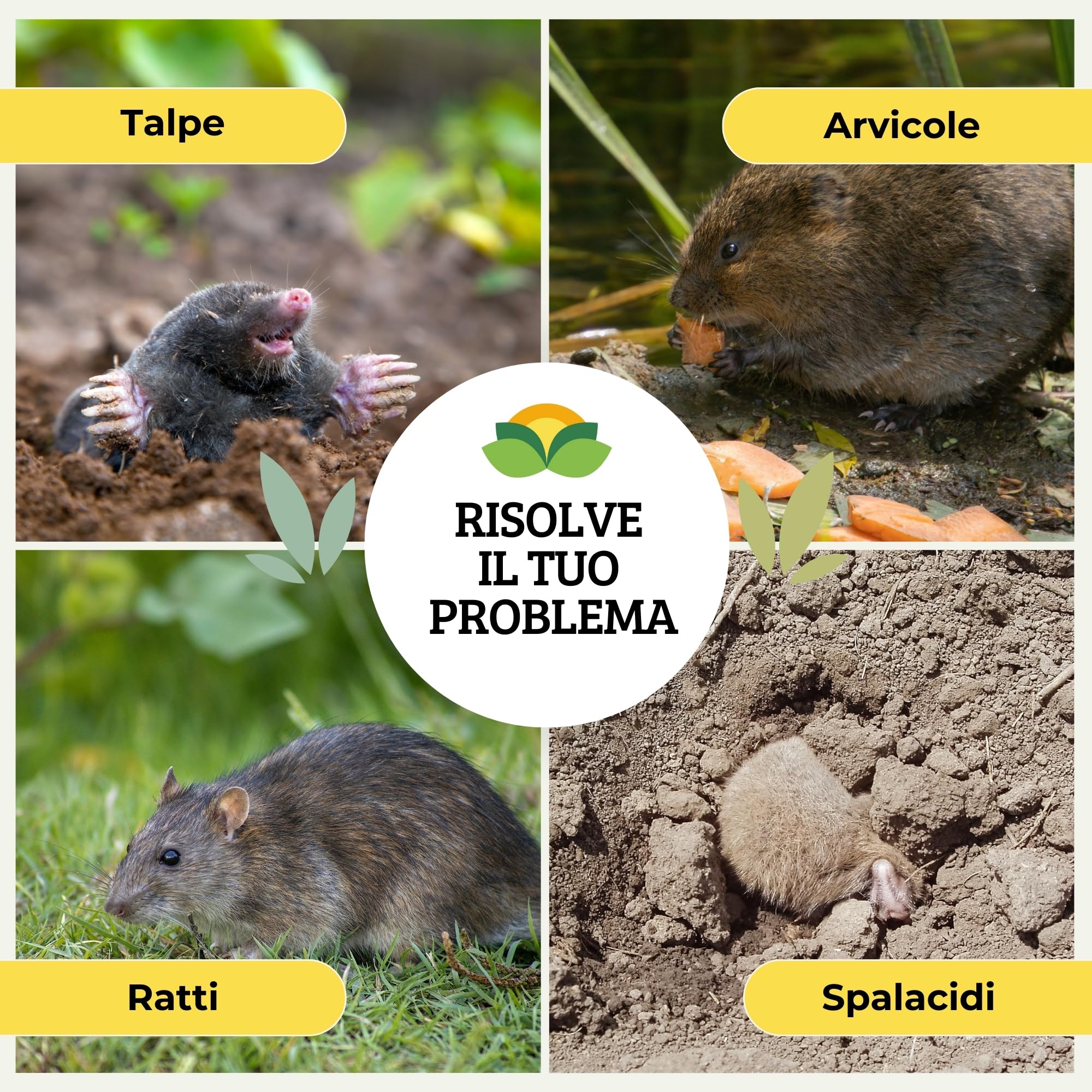 Albagarden - Repellente Talpe - Scaccia Talpe Vegetale Olfattivo per Allontanare da Orto E Giardino - No Trappola Antitalpa Granulare X 1 Litro
