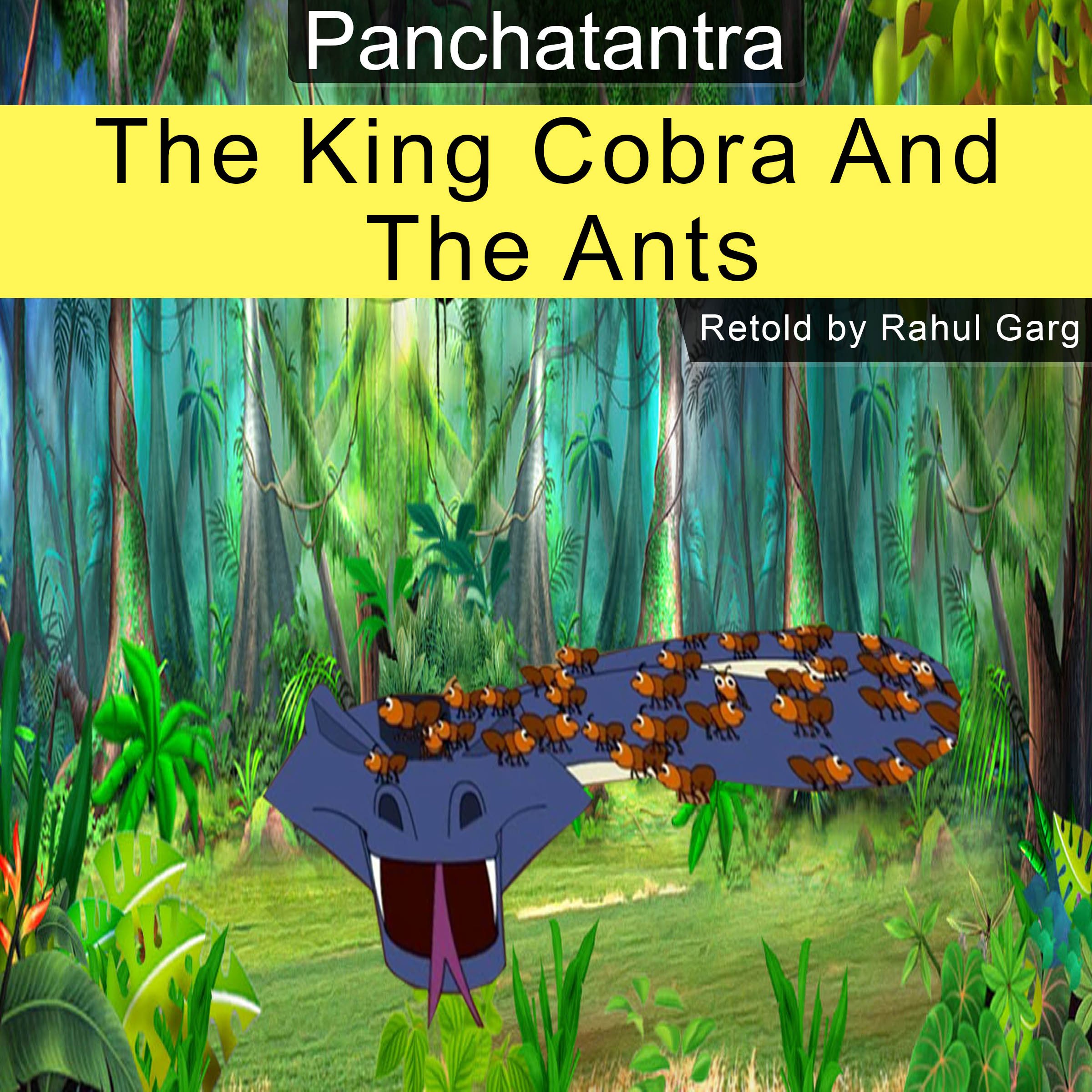 The King Cobra and the Ants