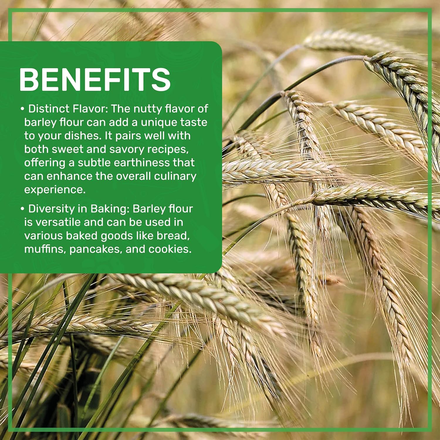 Jiva Organic Barley Flour 2 Pound - All Natural & Raw - Product of India - Image 5