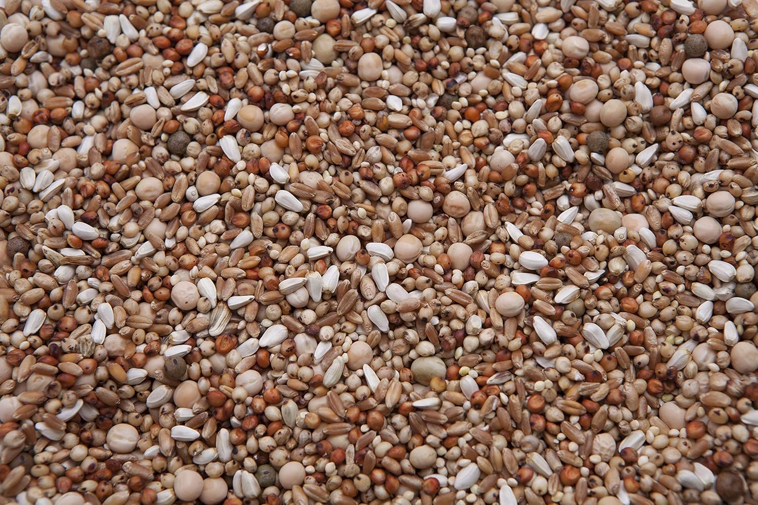 Des Moines Wild Bird Feed No Corn Special Mix (13.5) (20