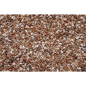 No Corn Special Mix (13.5%) (20)
