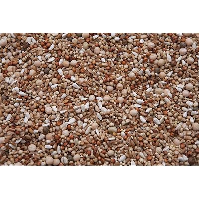 No Corn Special Mix (13.5%) (20)