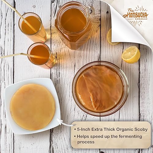 Vista 7 de Kombucha SCOBY Tamaño grande Madre Scoby de 5 pulgadas para una fácil preparación de bebidas Incluye 4 onzas de líquido de té Kombucha Starter