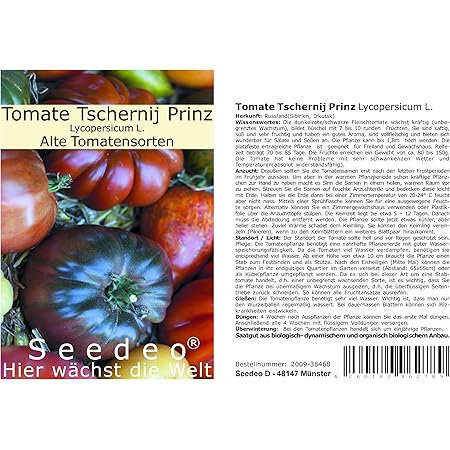 Seedeo® Tomate Tschernij Prinz (Lycopersicum L.) 25 Samen BIO