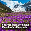 Homeda Kesar Saffron Original 1g / Pure Keshar Original Kashmiri Kesar | Kumkuma Puvvu Safron, Kungumapoo for women, Zafran, Kasar, Kumkumapoovu, Keser, Certified Grade A 1 gm gallery image