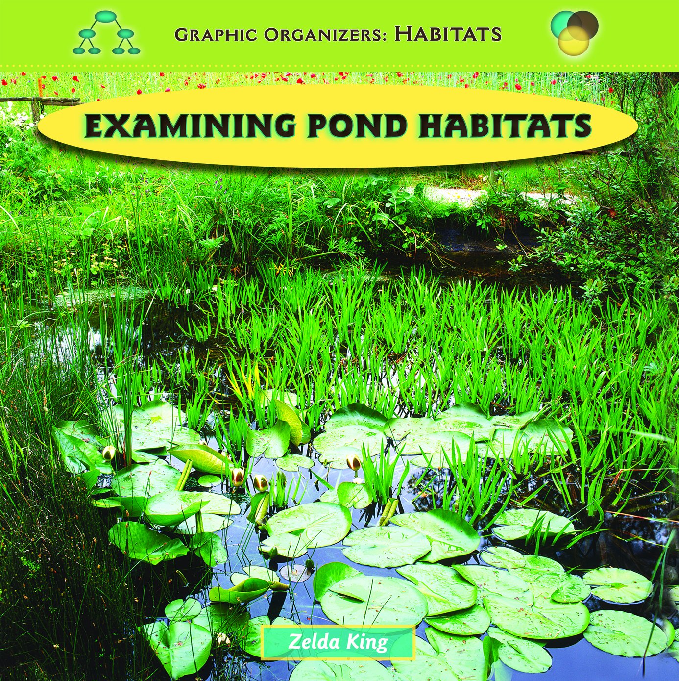 Buy Examining Pond Habitats (Graphic Organizers Habitats) Book Online at Low Prices in India
