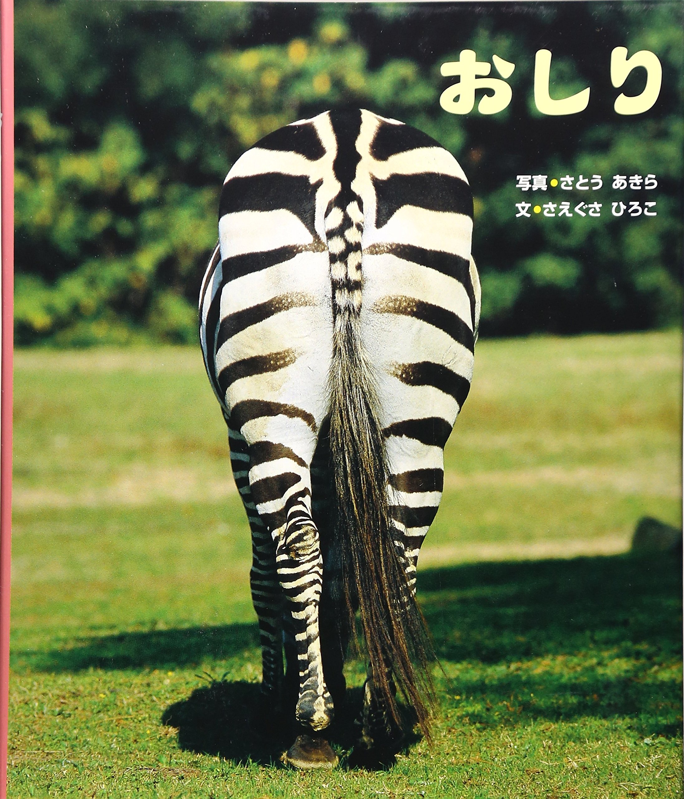 おしり さえぐさ ひろこ 本 通販 Amazon