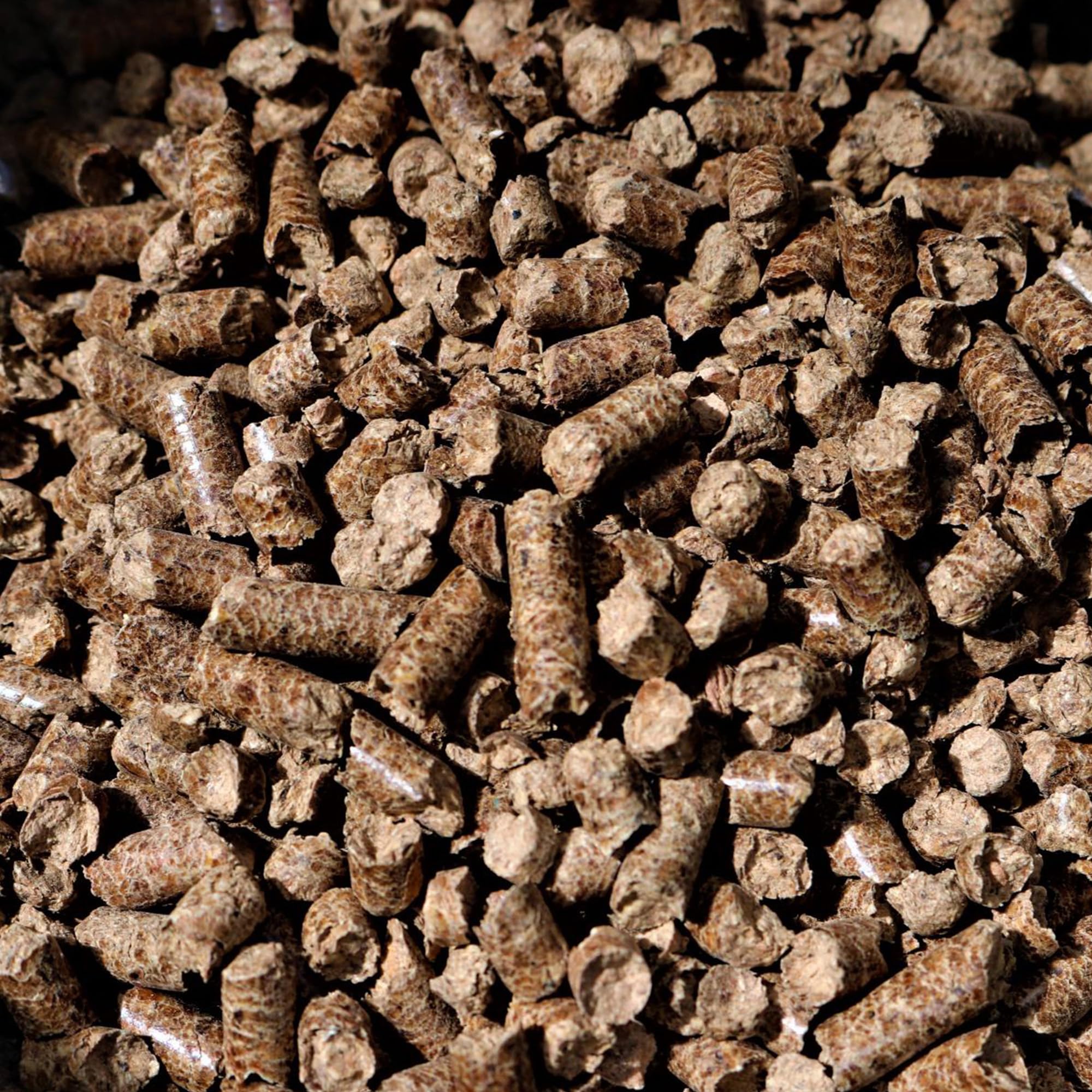 Bear Mountain Premium BBQ Woods Pellety, 100% całkowicie naturalne granulki z twardego drewna, do wędzarni i granulatów, grilla, pieczenia, pieczenia i grillowania, 9 kg, 1 opakowanie