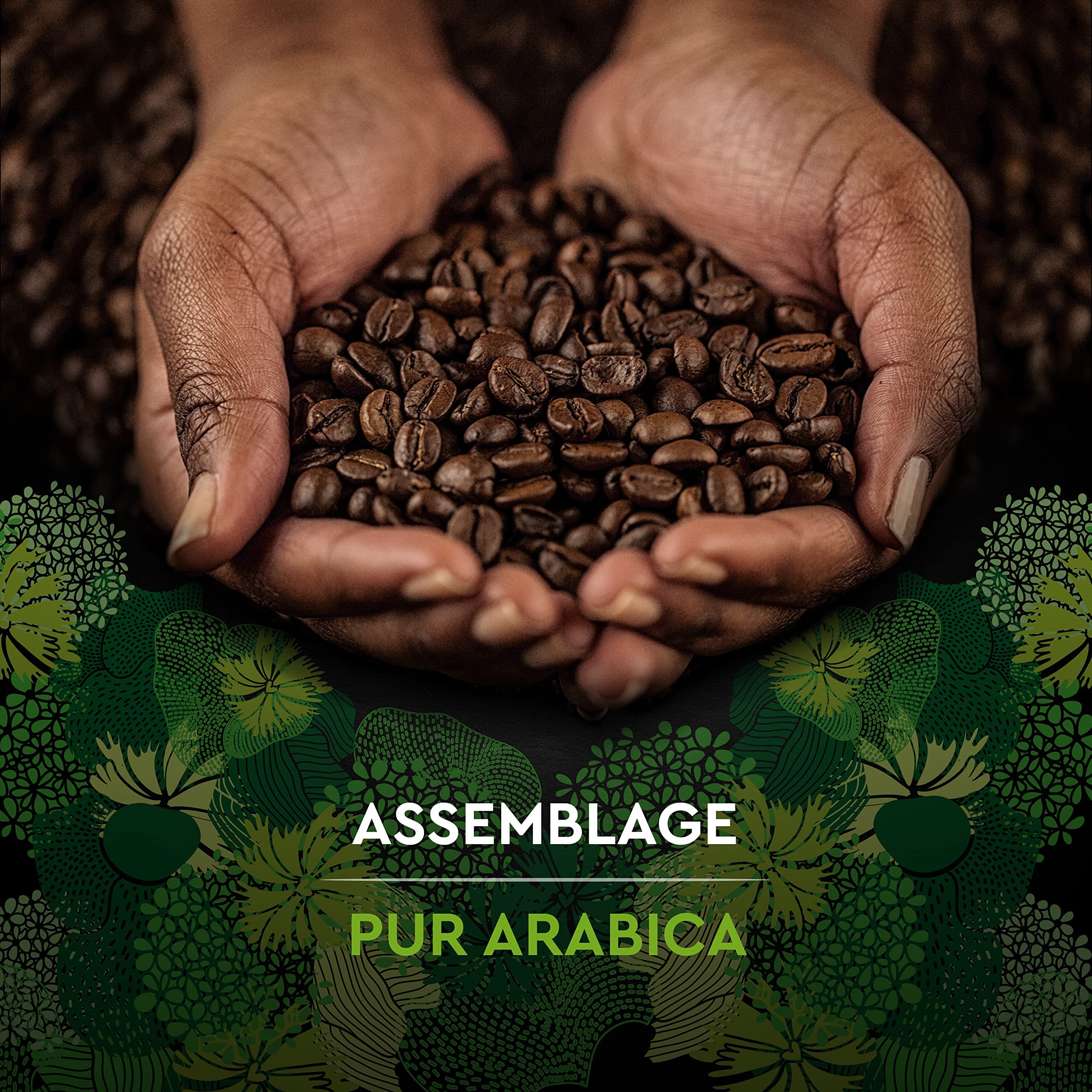 CARTE NOIRE - Café Grain Bio - 100 % Arabica - Origine Amérique Latine - Paquet de 1 kg - Fabriqué en France