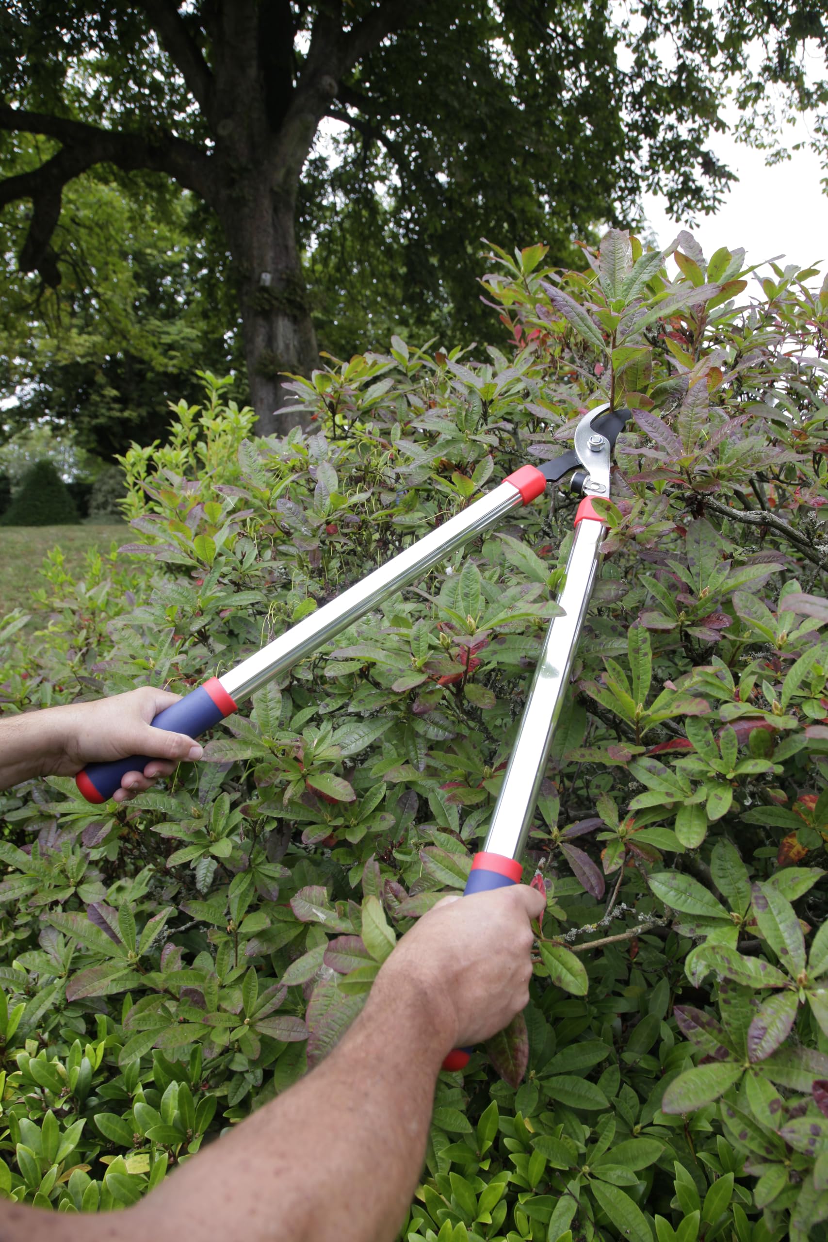 Spear & Jackson 4444BL Bypass-Astschere 27,5" (700 mm) – Stark, leicht und einfach zu bedienen – Komfortgriffe mit Soft-Touch