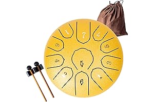 Handmade Electronic Music: Steel Tongue Drum, Rain Drum for Outdoor Percussion