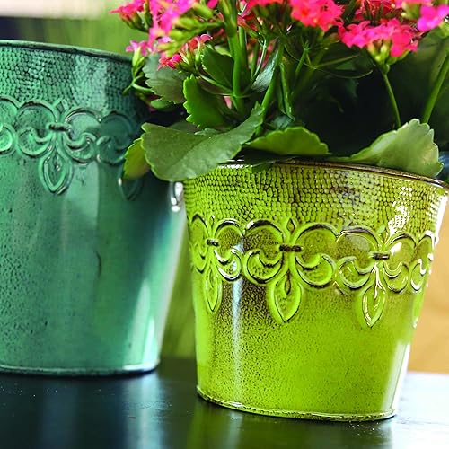 Miniatura 5 de MPT01638 Fluer De Lis Series - Maceta de metal, 8 pulgadas, maceta roja cayena de 8 pulgadas, 4 pulgadas