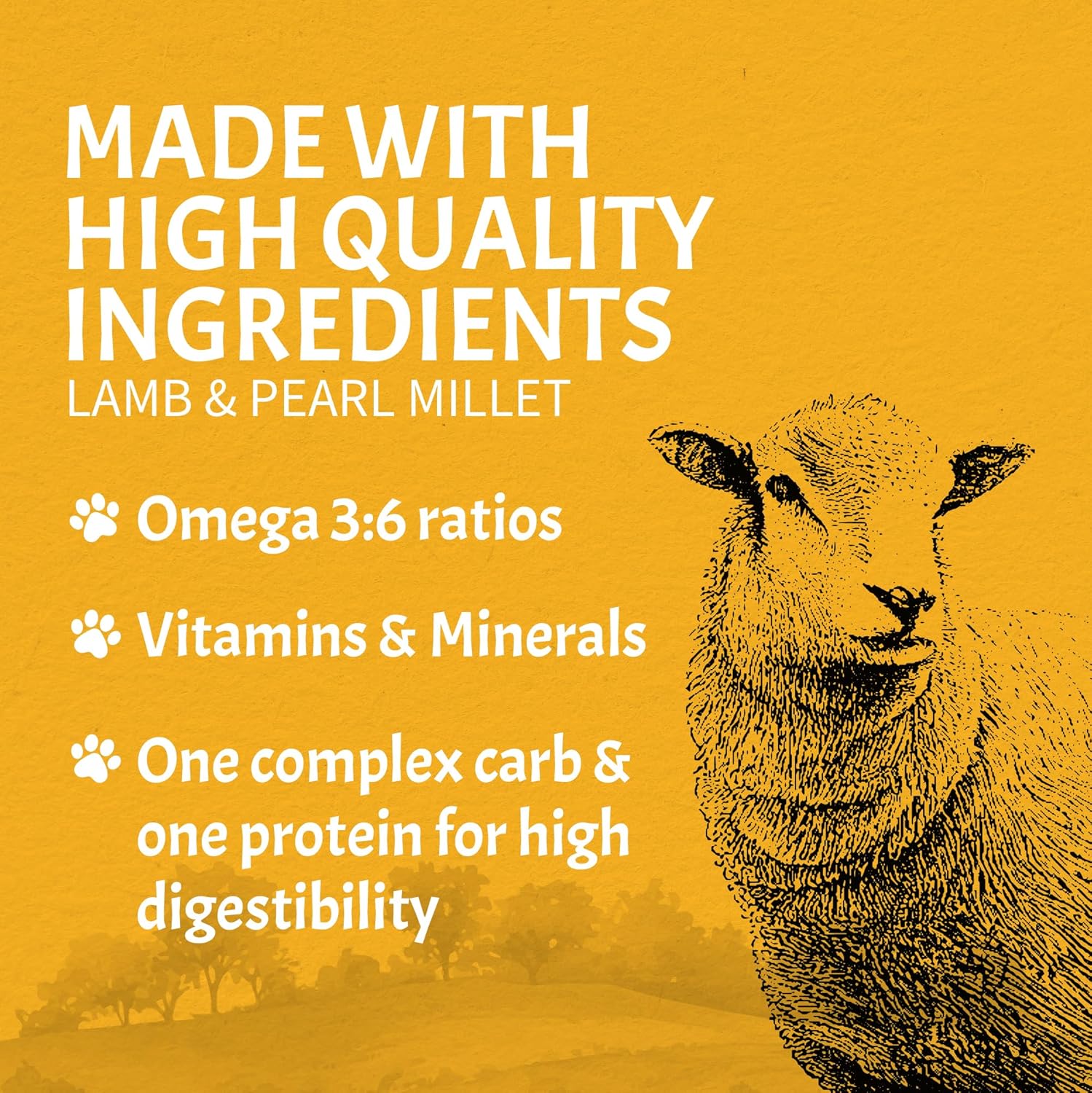 Canine Caviar - Open Meadow: Lamb & Pearl Millet Alkaline Dry Dog Food, Limited Ingredients, Gluten-Free, Based on Science & Research, Veterinary Alternative Diet (22 Pound Bag)