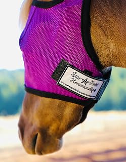 Star Point Horsemanship Miniature Horse-Pony No Ear Fly Masks100% Full UV Protection Durable Mesh Highly Comfortable (Medium, Raspberry/Black)