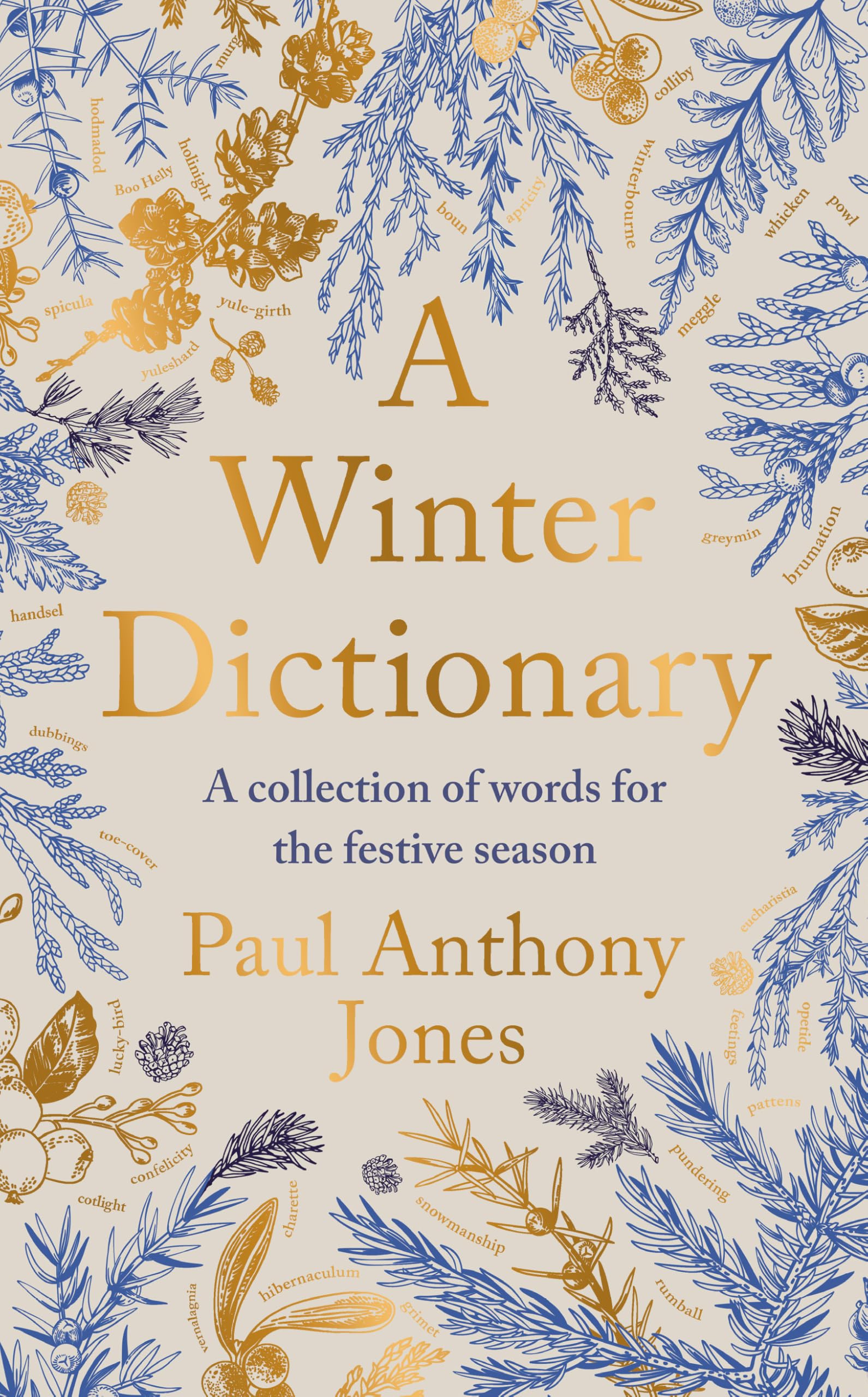 A Winter Dictionary : A Collection of Words for the Festive Season - Full of frosty delights for the word lover in your life