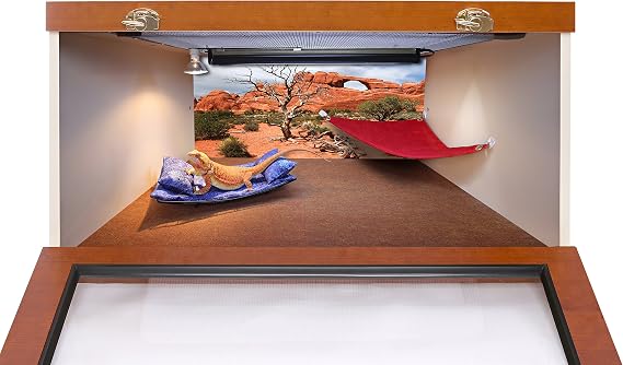 Reptile Habitat Background, Arch with Tree, 15.75 x 36