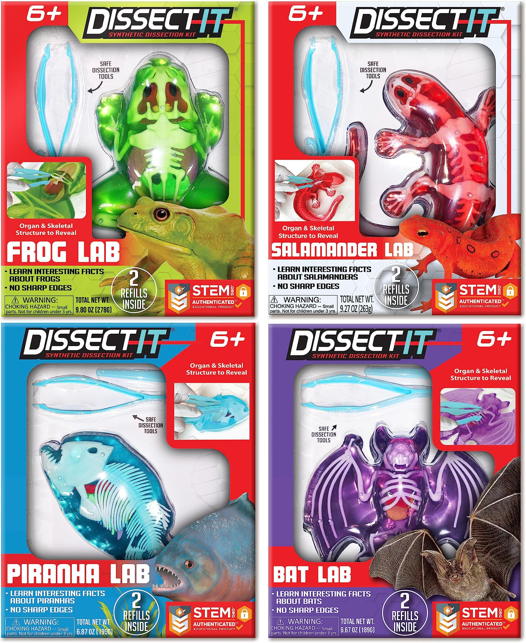 Carolina's Young Scientist™ Heart Dissection Kit, Mammalian Pig Heart Toys & Games