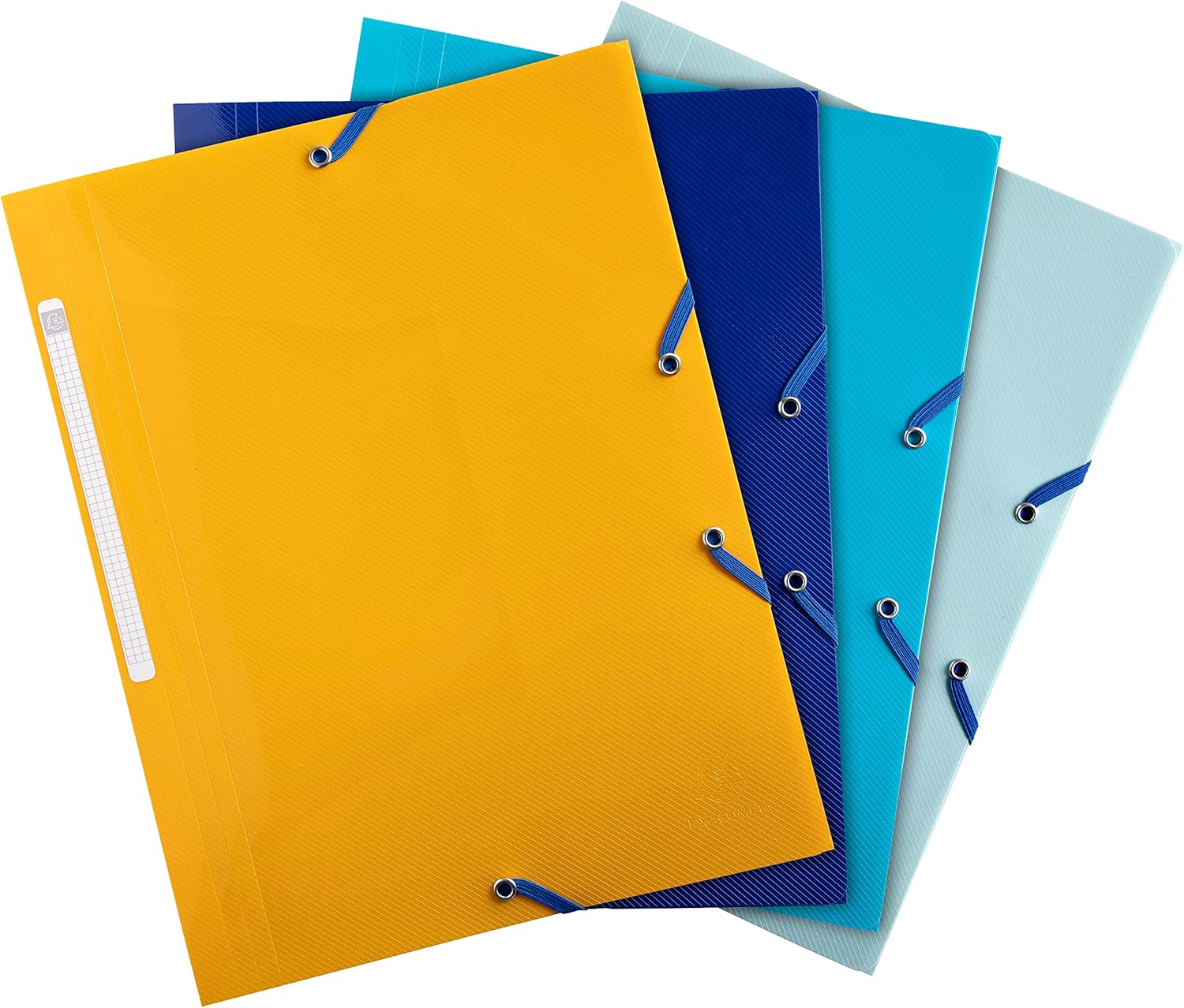 Exacompta - Ref. 55110E - Bee Blue 3 flap folders with elastic closure, Polypropylene, Pack of 4 - A4 - assorted colors