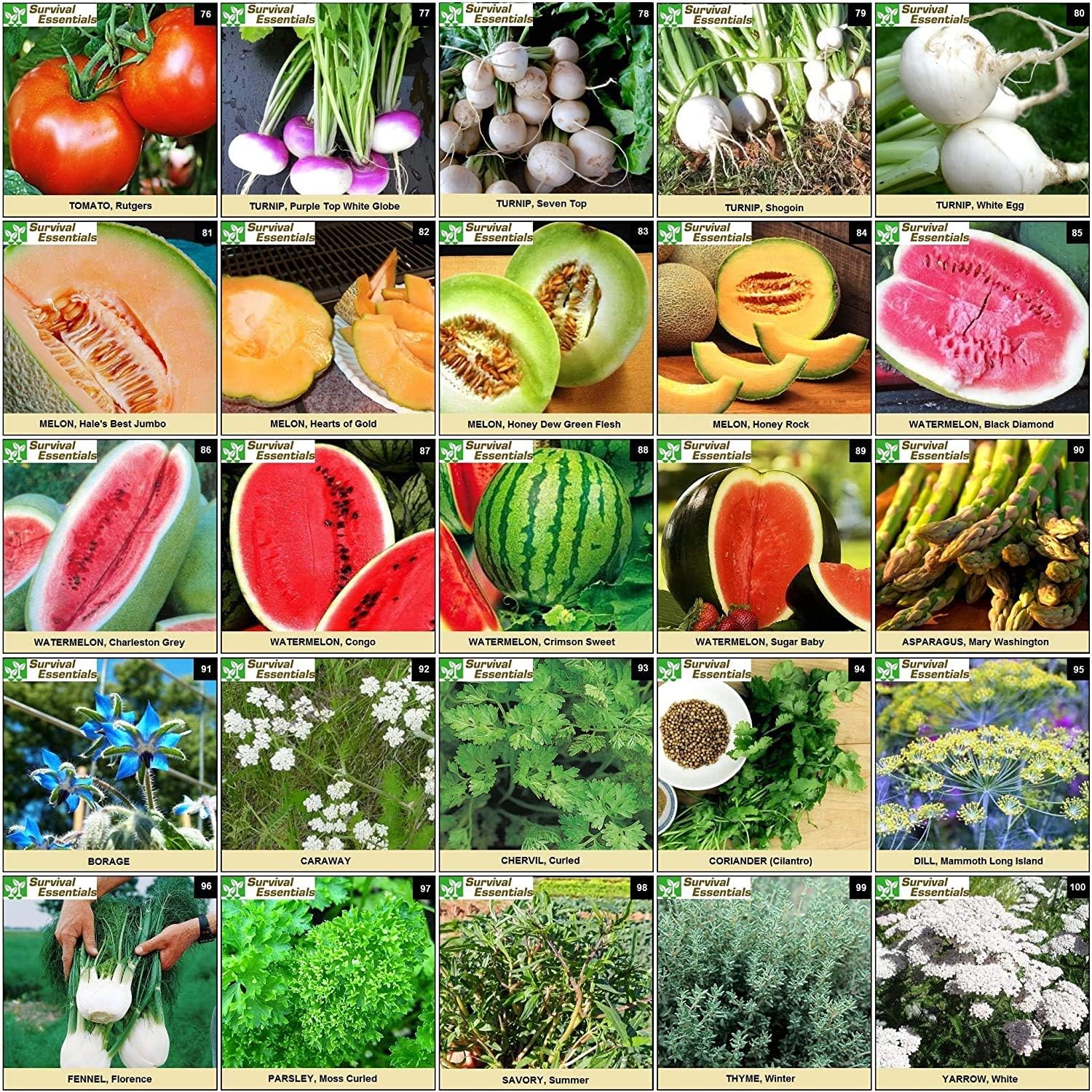 Garden Heirloom Seed Vault, 100 Variety, Over 17,500 Vegetable, Fruit, and Herbs Seeds, Non-GMO, Non-Hybrid, Plus Free Microgreens Kit