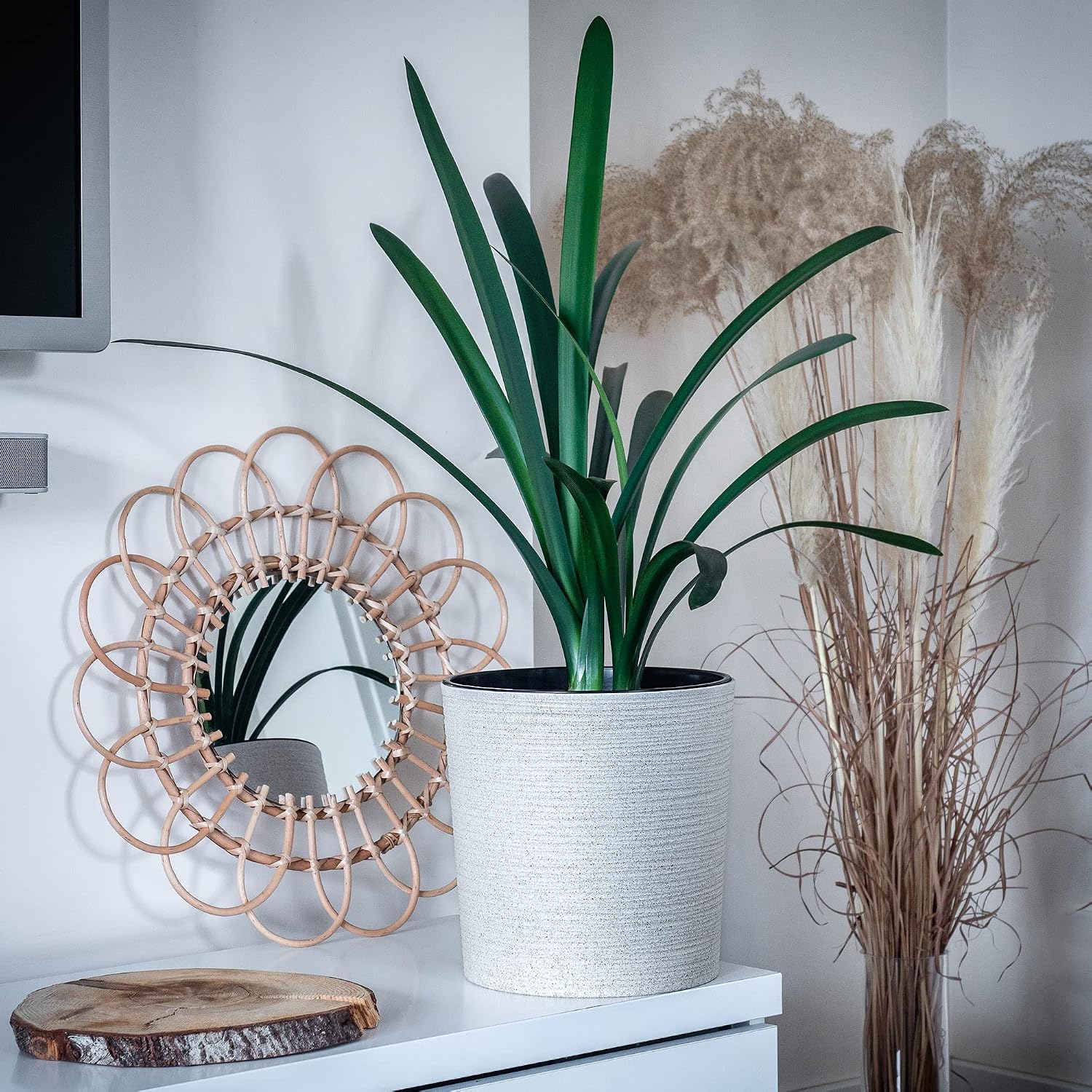 KADAX Flower Pot, Eco-Friendly Planter Made of Recycled Wood Shavings, Durable Plant Pot with Insert for Houseplants (⌀ 19 cm, Cream) - Image 4