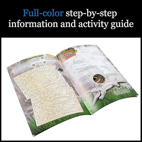 Miniatura 3 de WILD ENVIRONMENTAL SCIENCE Cocodrilos extremos del mundo - Para mayores de 6 años - Crea y personaliza modelos y dioramas - Estudia los animales más