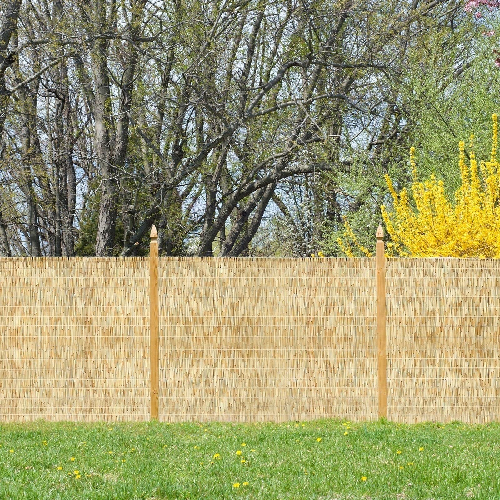 Valla de bambú natural de 60 cm, 160 cm de altura, valla duradera para balcón, terraza y jardín, color negro carbonizado
