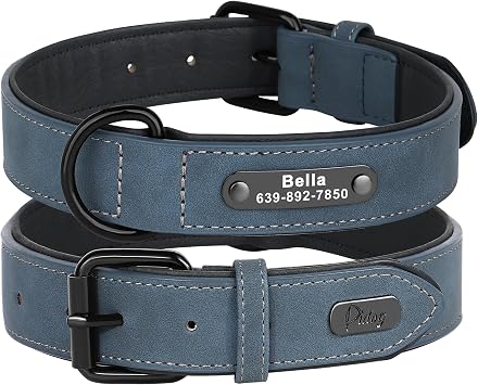 Didog Personalized PU Leather Dog Collar with Name and Number, Blue M