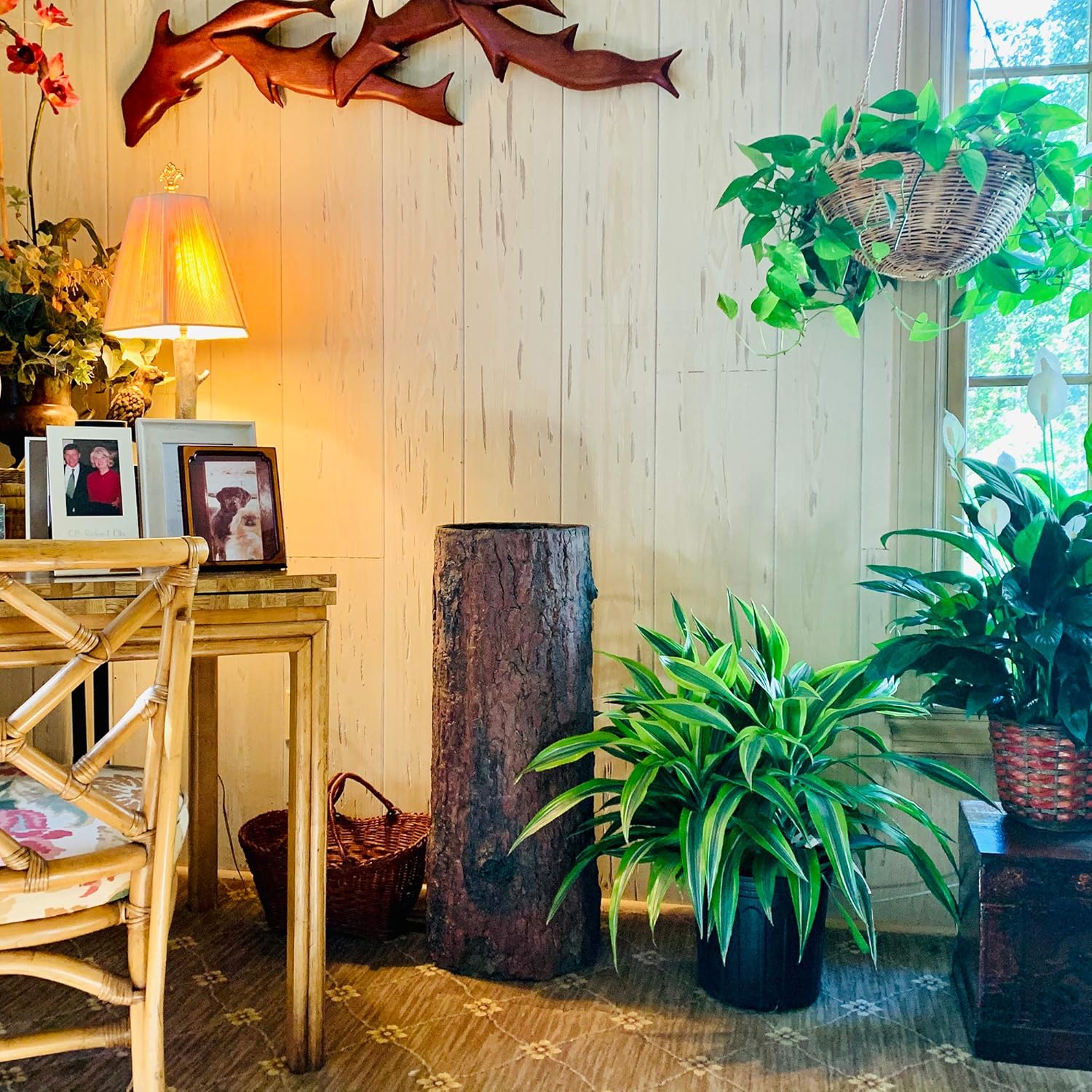 Country Container & Storage Stump. Unique Woodland Farmhouse Bin & Laundry Log. Tall Rustic Standing Pedestal Décor.